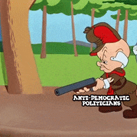 Looney Tunes Politics GIF by Creative Courage