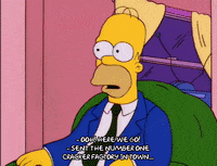 homer simpson episode 6 GIF