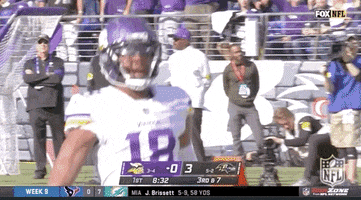 Minnesota Vikings Football GIF by NFL