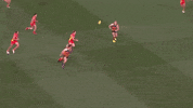 afl greenwood GIF by Adelaide Crows