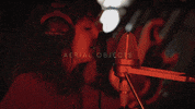 reservoirmedia  GIF