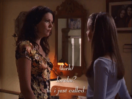 season 3 netflix GIF by Gilmore Girls 