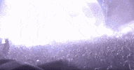 tomorrowland GIF by Robin Schulz