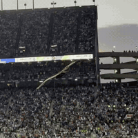 War Eagle America GIF