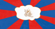 bobpopcorn popcorn GIF
