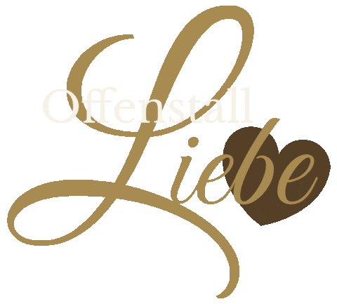 Horse Reiten Sticker by Reitkunstzentrum Südbaden