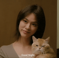 Good Night Cat GIF
