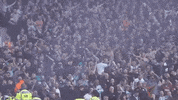 Fans Cheer GIF by Aston Villa FC