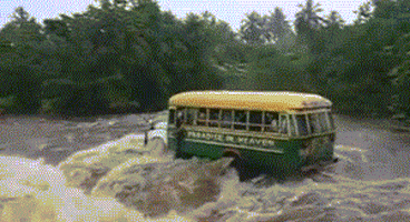 school bus GIF