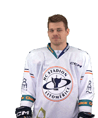 Sport Hokej Sticker by HCSTADION