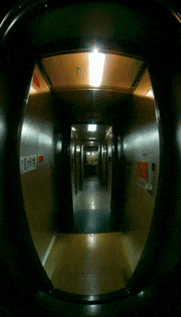 Sa Satisfy GIF by Aleksey Efremov