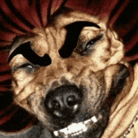 Yujiro Hanma Baki GIF