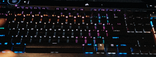 davebleja giphyupload GIF