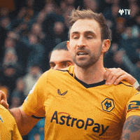 Come On Yes GIF by Wolves