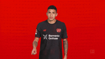 Bayer Leverkusen GIF by Bundesliga