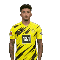 Posing Line Up Sticker by Bundesliga