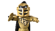 university of central florida yes Sticker by UCF Knights