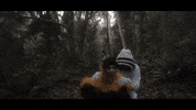 Bee Hug GIF by The Head And The Heart