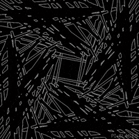 pislices loop 3d trippy black and white GIF