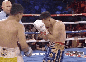 toprank fight fighting espn fighters GIF