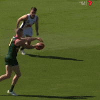 Tasmania Devils GIF