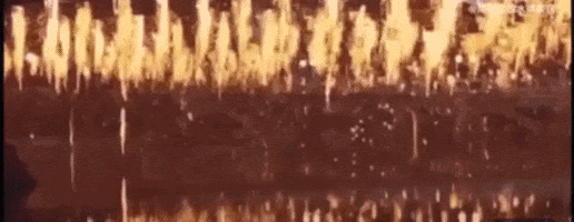 bongjunjeong giphyupload GIF