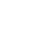 Art Cat Sticker