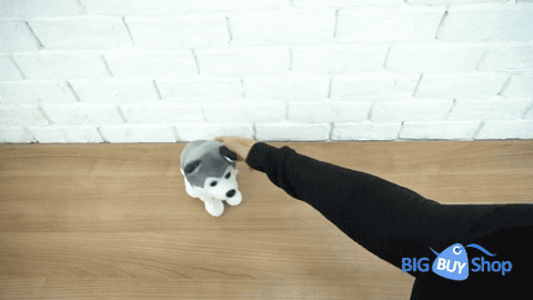 marashop giphyupload GIF