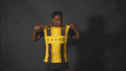 South Carolina Soccer GIF by Charleston Battery