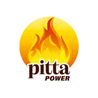 TheAyurvedaExperience tae ayurveda ayurvedic pitta Sticker