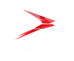 Bird Iron Sticker by iRYSTONTV
