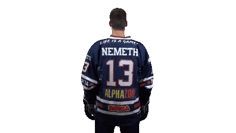 Ice Hockey Sticker by Fehervar AV19