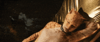 CatsMovie hello good morning cats wink GIF