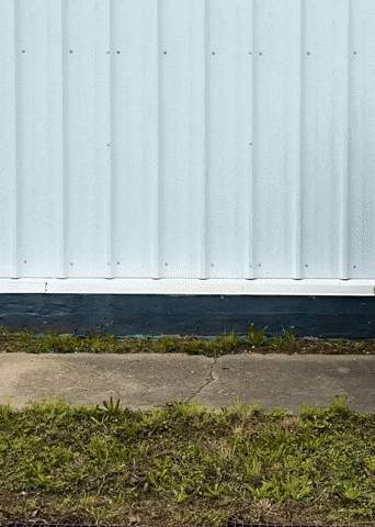 Gayfetus giphyupload GIF