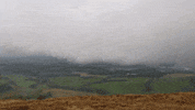 GIF by Alba Campers