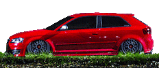 Car Audi Sticker by dieneuepflege