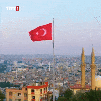Flag Tc GIF by TRT