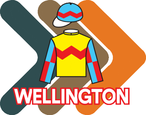 Wellington Sticker by DIA