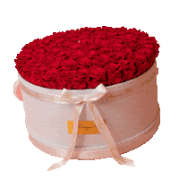 lediamantrose flowers roses flowerbox ruze Sticker