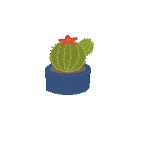 Succulent Sticker