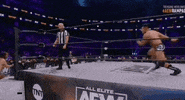 Adam Cole Aew On Tnt GIF by All Elite Wrestling on TV