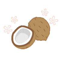 harliandme coconuts harliandme harlime Sticker