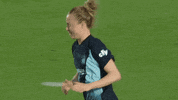 Sorry Womens Soccer GIF by National Women's Soccer League