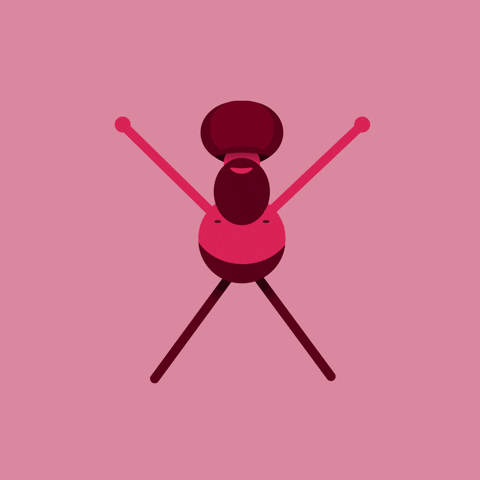 motion graphics GIF