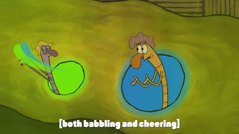 season 10 episode 3 GIF by SpongeBob SquarePants