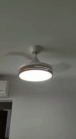 jojobug18 giphyupload GIF