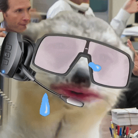 Allhailthemeerkat GIF by Dynaplug®