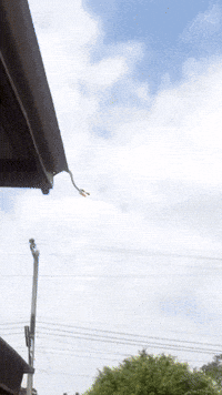 Jumping I Believe I Can Fly GIF