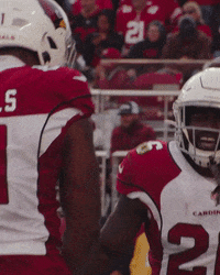 Excited Fired Up GIF by Arizona Cardinals