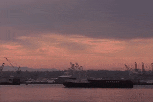 washington seattle GIF